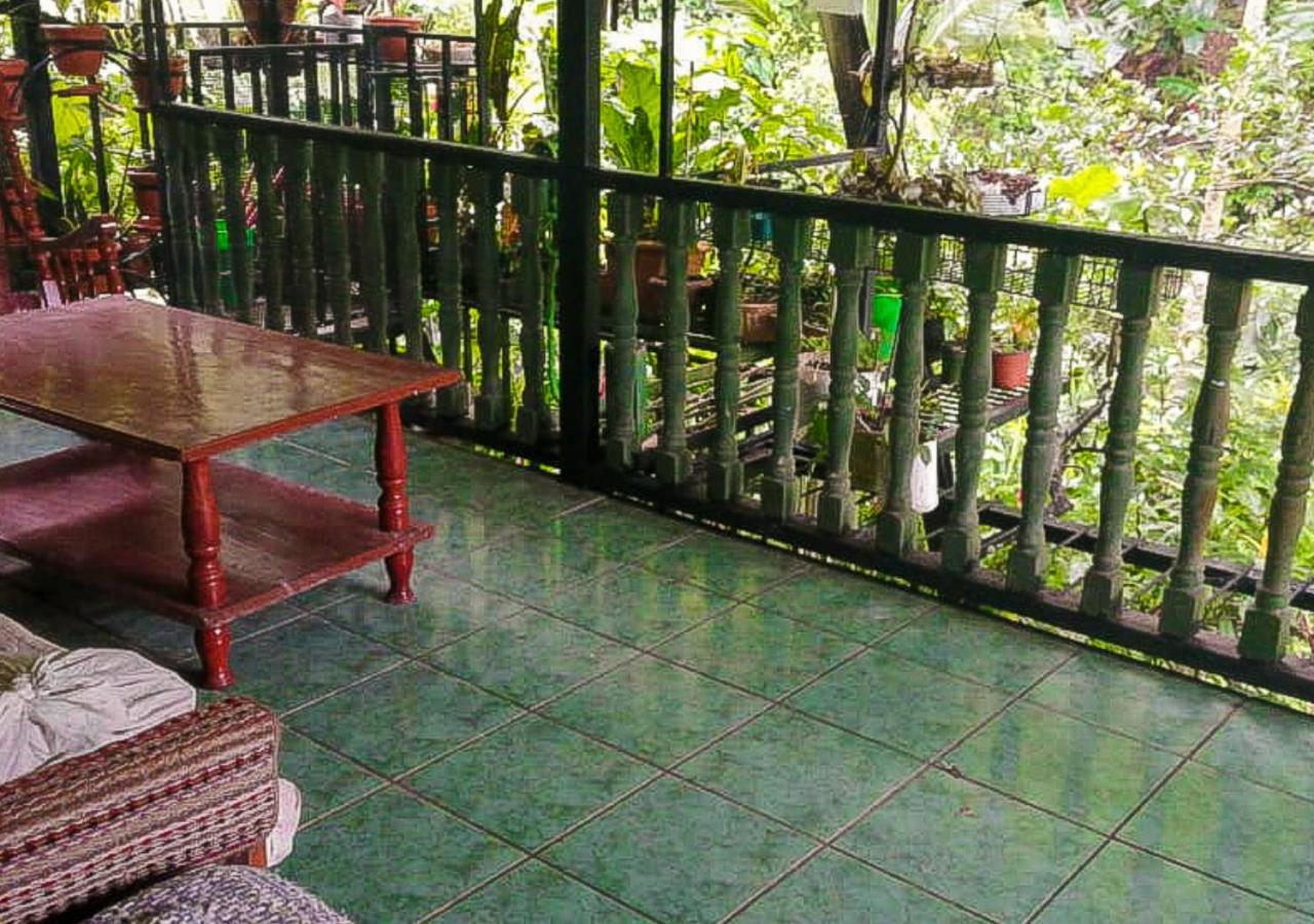 Golfito Maison D'Hotes ภายนอก รูปภาพ
