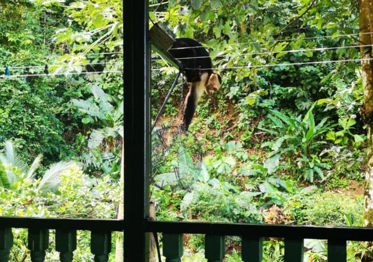 Golfito Maison D'Hotes ภายนอก รูปภาพ